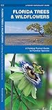 Florida Trees & Wildflowers: A Folding Pocket Guide to Familiar Plants (Nature Observation North America)