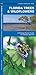 Florida Trees & Wildflowers (Nature Observation North America)