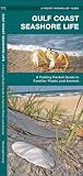 Gulf Coast Seashore Life: A Folding Pocket Guide to Familiar Animals and Plants (Wildlife and Nature Identification)