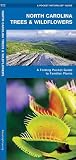 North Carolina Trees & Wildflowers: A Folding Pocket Guide to Familiar Plants (Wildlife and Nature Identification)
