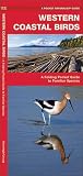 Western Coastal Birds: A Folding Pocket Guide to Familiar Species (Wildlife and Nature Identification)