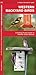 Western Backyard Birds (Nature Observation North America)