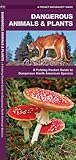 Dangerous Animals & Plants: A Folding Pocket Guide to Dangerous North American Species (Nature Observation North America)