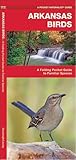 Waterford Press WFP1583551844 'Arkansas Birds' Book