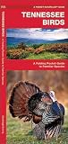 Tennessee Birds (Nature Observation North America) Tennessee Birds (Nature Observation North America)