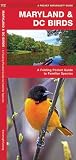 Maryland & DC Birds: A Folding Pocket Guide to Familiar Species (Nature Observation North America)