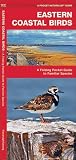 Eastern Coastal Birds: A Folding Pocket Guide to Familiar Species (A Pocket Naturalist Guide) Eastern Coastal Birds: A Folding Pocket Guide to Familiar Species (A Pocket Naturalist Guide)