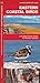 Eastern Coastal Birds: A Folding Pocket Guide to Familiar Species (A Pocket Naturalist Guide)