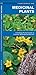 Medicinal Plants (Nature Ob...