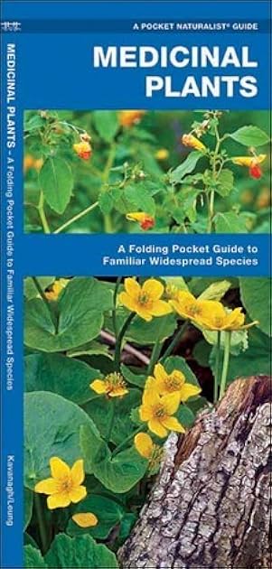 Medicinal Plants: A Folding Pocket Guide to Familiar Widespread Species (Outdoor Skills and Preparedness)
