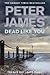 Dead Like You (Roy Grace #6)