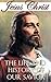Jesus Christ: The Life and History of Our Savior (Jesus the Savior, The Life Story of Jesus, The Mesiah, The Savior, New Testament)