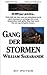 Gang der stormen by William Sarabande