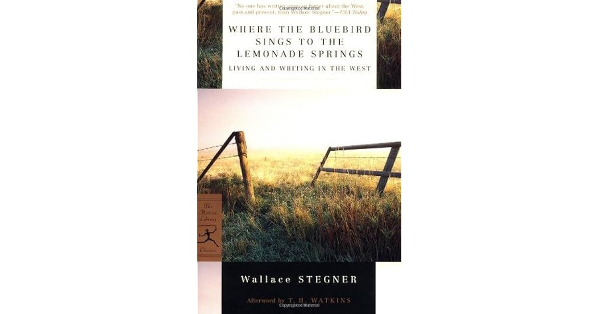 new balance 1080 kinderen bluebird