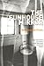 The Funhouse Mirror by Robert Ellis Gordon