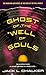 Ghost of the Well of Souls ...