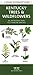 Kentucky Trees & Wildflowers (Nature Observation North America)