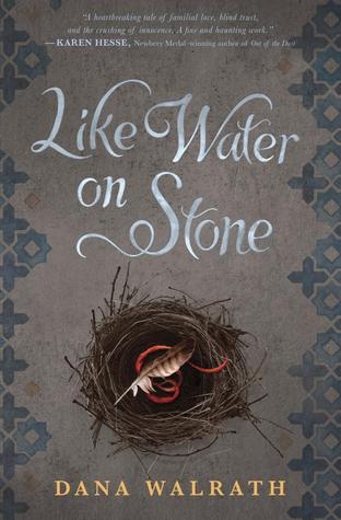 Like Water on Stone (Library Binding)
