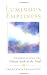 Luminous Emptiness by Francesca Fremantle