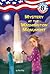 Mystery at the Washington Monument by Ron Roy