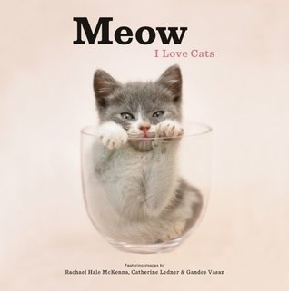 Meow: I Love Cats (Hardcover)
