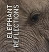 Elephant Reflections Elephant Reflections
