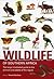 The Wildlife of Southern Africa by Vincent Carruthers