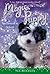Spellbound at School (Magic Puppy, #11)
