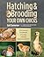 Hatching & Brooding Your Own Chicks: Chickens, Turkeys, Ducks, Geese, Guinea Fowl