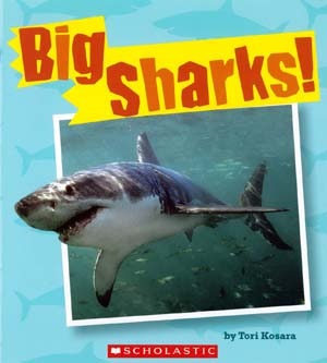 Big Sharks! (Paperback)