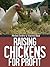 Raising Chickens For Profit