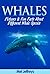 Whales Pictures & Fun Facts...