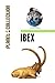 Ibex: Picture Book (Educational Children's Books Collection) - Level 2 (Planet Collection)