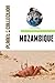 Mozambique: Picture Book (Educational Children's Books Collection) - Level 2 (Planet Collection 159)
