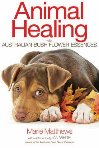 Animal Healing with Australian Bush Flower Essences (Paperback)