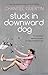 Stuck in Downward Dog
