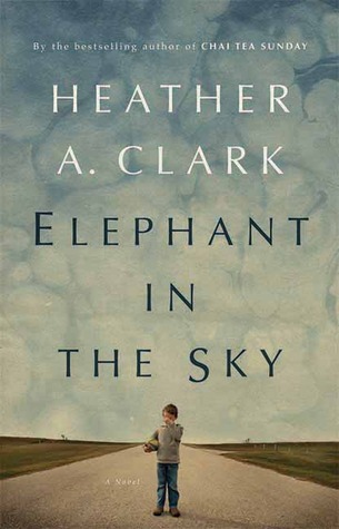 Elephant in the Sky (Paperback)