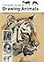 Complete Guide to Drawing Animals