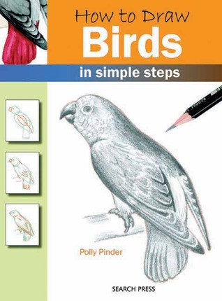 How to Draw Birds: in simple steps