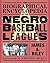 The Biographical Encyclopedia of the Negro Baseball Leagues