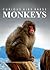 Monkeys - Amazing Facts about Monkeys | Kids Picture Book