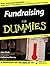 Fundraising For Dummies
