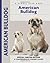 American Bulldog by Abe Fishman
