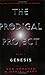 The Prodigal Project: Book ...
