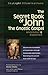 The Secret Book of John: The Gnostic Gospel—Annotated & Explained (SkyLight Illuminations 11)