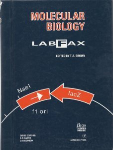 LabFax Set: Molecular Biology LabFax