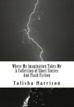 Where My Imagination Takes Me A Collection of Short Stories And Flash Fiction