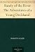 Randy of the River The Adventures of a Young Deckhand by Horatio Alger Jr.