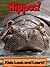 Hippopotamuses! Learn About Hippopotamuses and Enjoy Colorful Pictures - Look and Learn! (50+ Photos of Hippopotamuses)