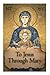 To Jesus Through Mary (True Devotion to Mary Book 4)